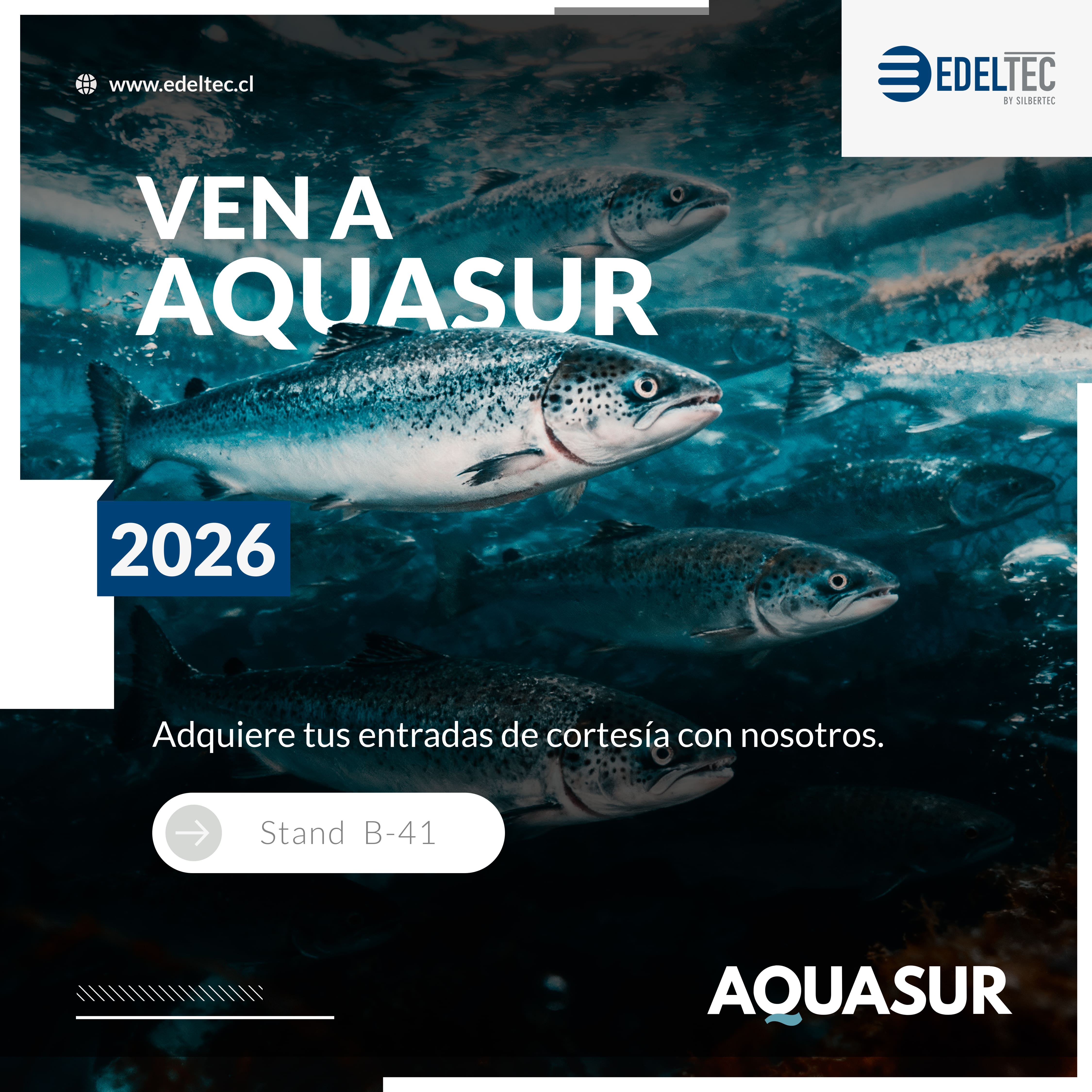 Edeltec y Silbertec confirman su participación conjunta en AquaSur 2026